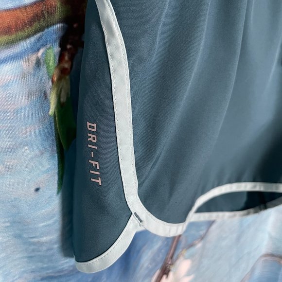 Nike Dri- Fit Women's athletic shorts Sz L - Picture 3 of 9